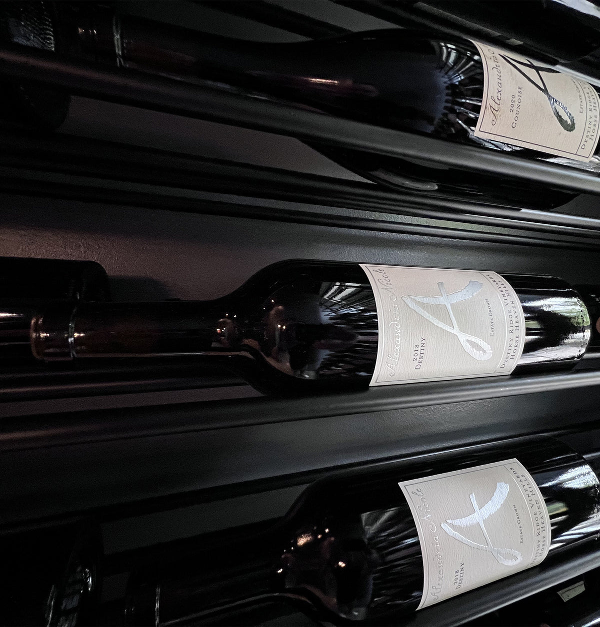 Wine bottles in a rack cradle with labels facing outward for easy viewing.