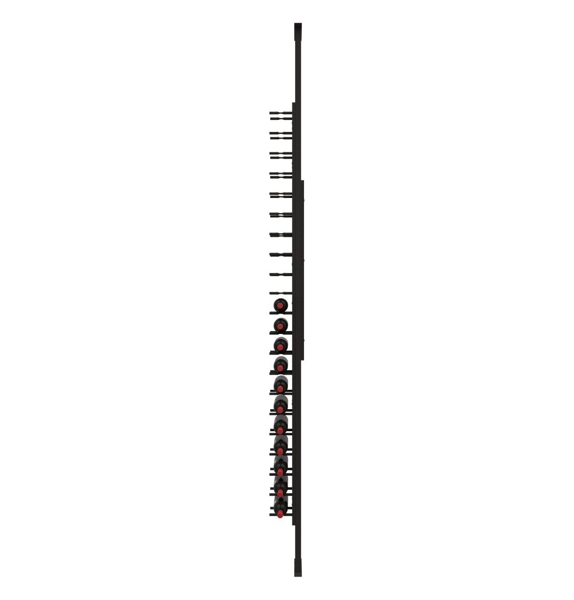 Black single-sided wine peg rack with red label rings, holding multiple bottles vertically